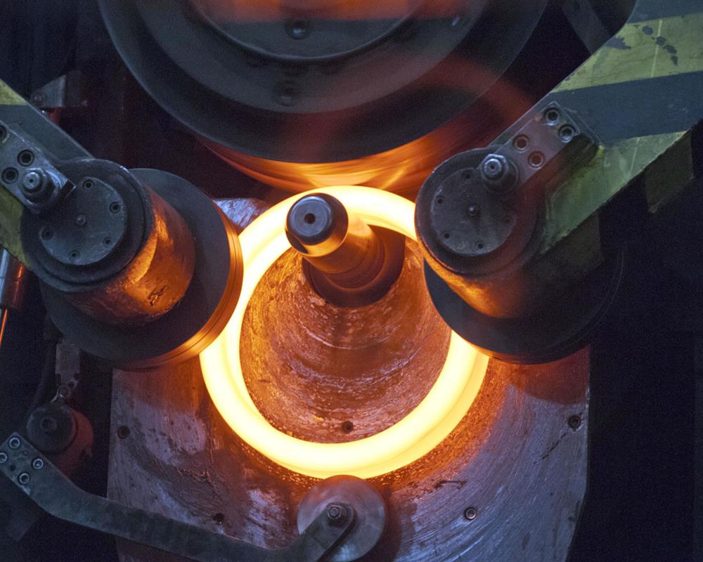 Ring rolling forging Parts